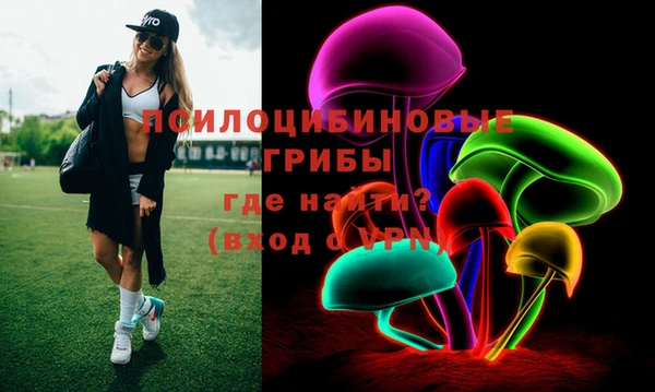 бошки Аркадак