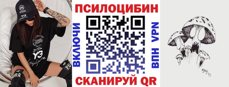 Псилоцибиновые грибы мицелий  Александровское 